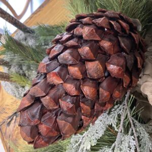 LARGE PINECONE