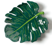 COTON COLORS PALM PLATTER
