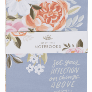 SET OF 3 JOURNAL NOTEBOOKS